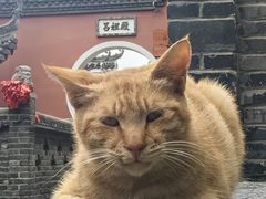 -长春观