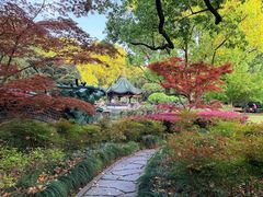 -申粤轩酒楼·三十年粤菜经典(丁香花园店)