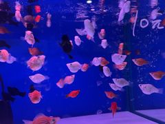 -三旗百汇商品城