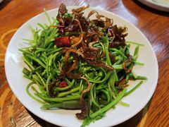 -菌自由丨野生菌火锅特色庭院餐厅(丽江古城店)