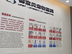 -御宝贝24h宠物医院·转诊中心·CT核磁血透中心(厦门总院)