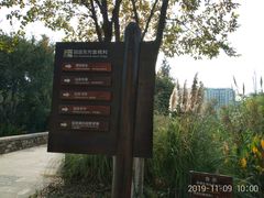 -田园东方蜜桃村的田野营地