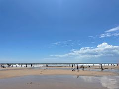 -日照海滨国家森林公园