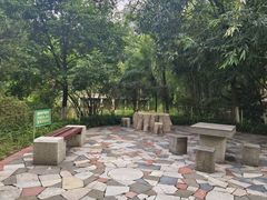 -龙头寺公园