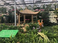 -兰陵国家农业公园