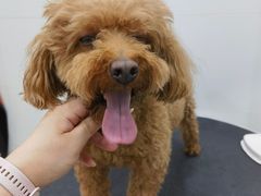 -1013 PET SHOP 宠物商店(近铁城市广场店)