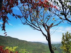 -香山公园
