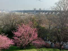 -龟山风景区-龟山电视塔
