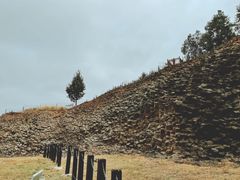 -六合国家地质公园桂子山景区