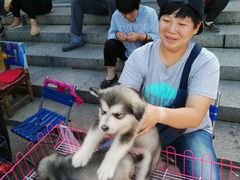 -鲜果时光(欧亚卖场店)