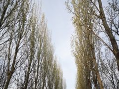 -将府公园