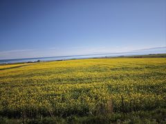 -青海湖二郎剑景区