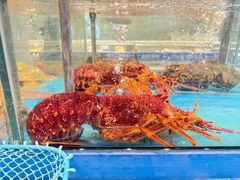 -海铺·渔家虾水饺(皇姑店)