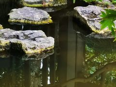 -杭州植物园