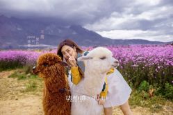 -太古映画婚纱摄影(天河店)