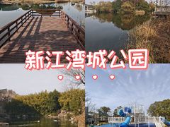 -新江湾城公园