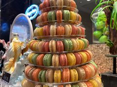 -初色海鲜自助(万丰路店)