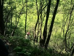 -玉渡山自然风景区