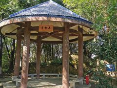 -天鹿湖森林公园
