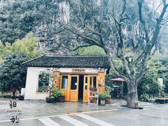 -村上春树