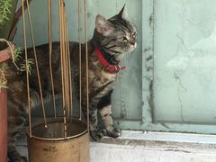 -小时光咖啡馆(北锣鼓巷店)