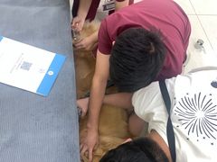 -美联众合动物医院·24h京西诊疗中心