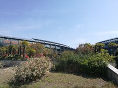 -上海滴水湖皇冠假日酒店