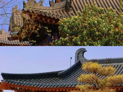 -华清宫景区