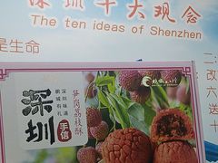 -鹏城八珍深圳特产手信(罗湖店)