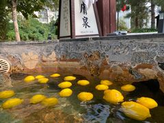 -国御温泉度假小镇