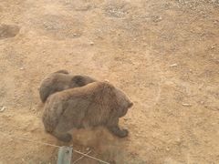 -泉州海丝野生动物世界