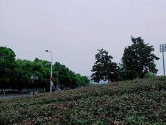 -合肥大剧院