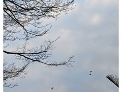 -人民公园(罗湖区)