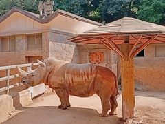 -昆明动物园