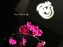 -凤凰湘语·湘粤鲜融(浦东旗舰店)