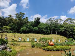 -广州市白云山风景名胜区