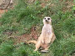 -灵玲国际马戏城