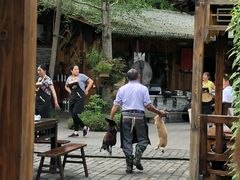 -青城甲(青城山店)