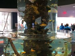 -瑞普利水族馆