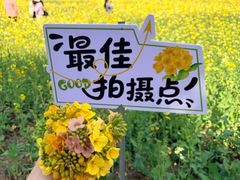 -崔岗艺术村