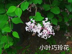 -国家植物园南园