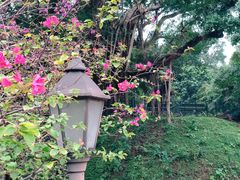 -九龙公园