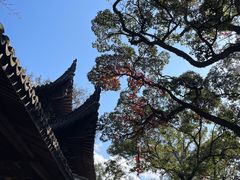 -天台山景区