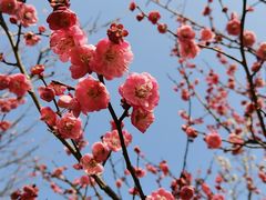 -白塘生态植物园