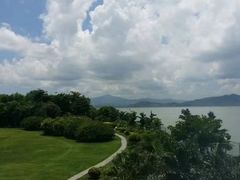 -宝安西湾红树林湿地公园