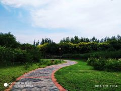 -永定河休闲森林公园