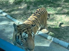 -北京野生动物园