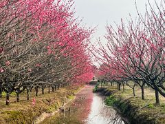 -西山风景区
