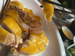 -食德喜·阳山鸡王食研基地