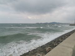 -白兔子密室(长寿路店)